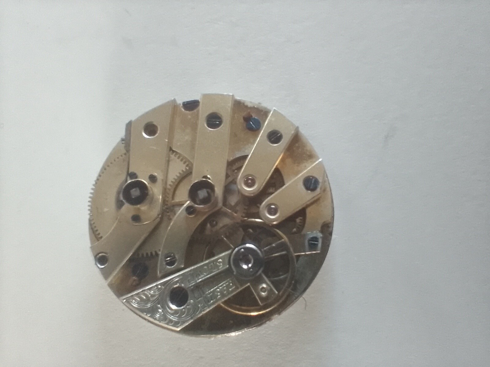 Picture 5 of 7