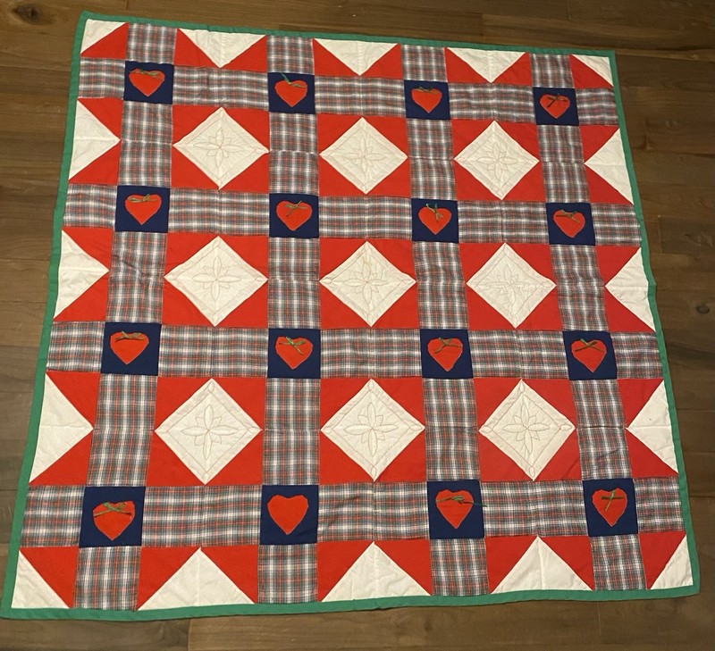 Handmade Hand Quilted Throw Quilt Red Blue Green White Plaid 57 1/2” X 58”