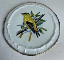 Vintage Bird Ceramic Round Tea Trivets or Tile Wall Art
