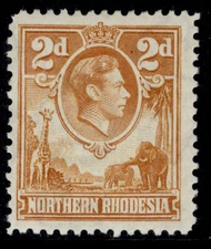 NORTHERN RHODESIA GVI SG31, 2d yellow-brown, M MINT. Cat £50.