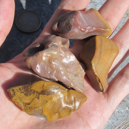 4 piezas Ventifactor natural de piedra Gobi/jaspe para Bonsai Suiseki pj225 - Imagen 2 de 4