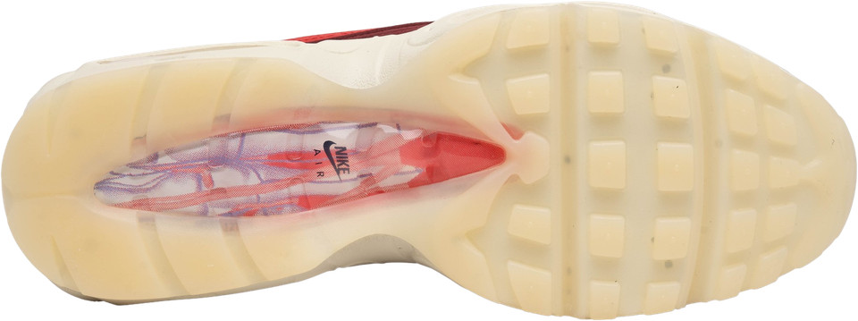 Nike Air Max 95 Anatomy Of Air for Sale - Authenticity