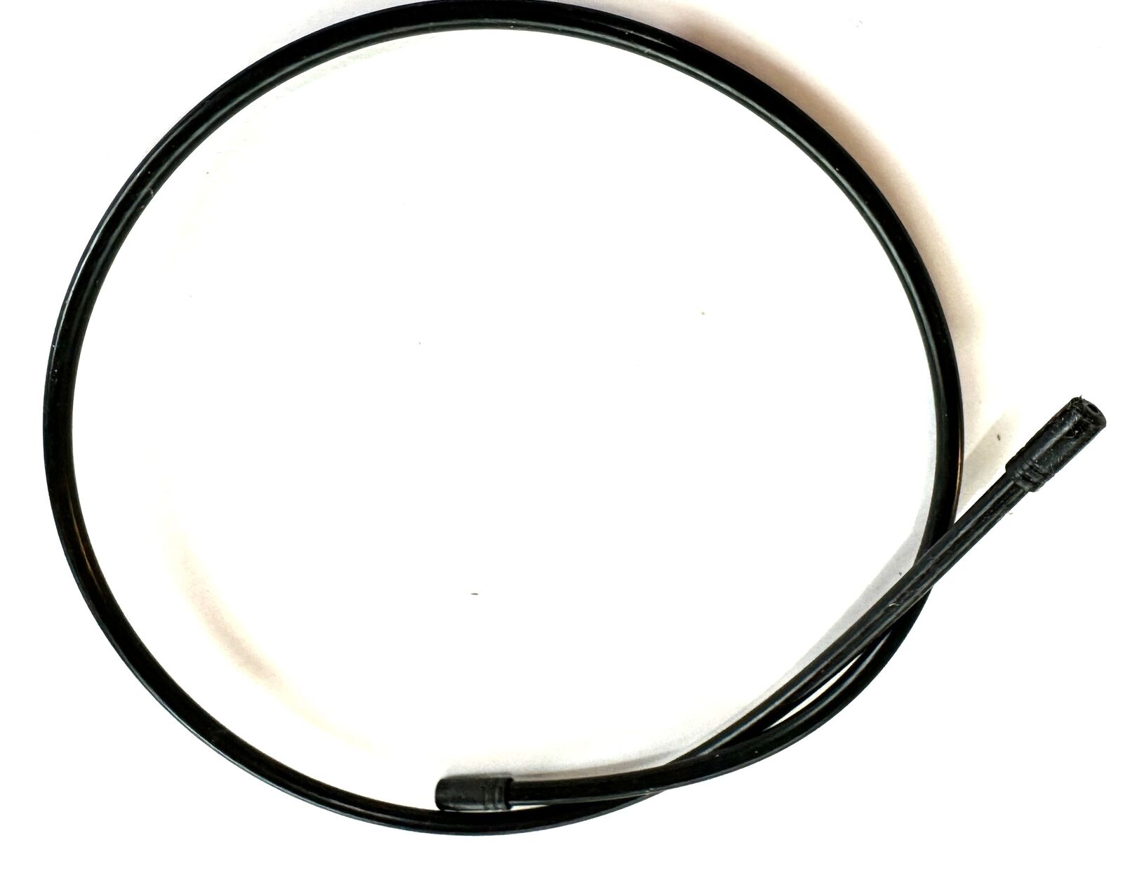Foto 9 di 9