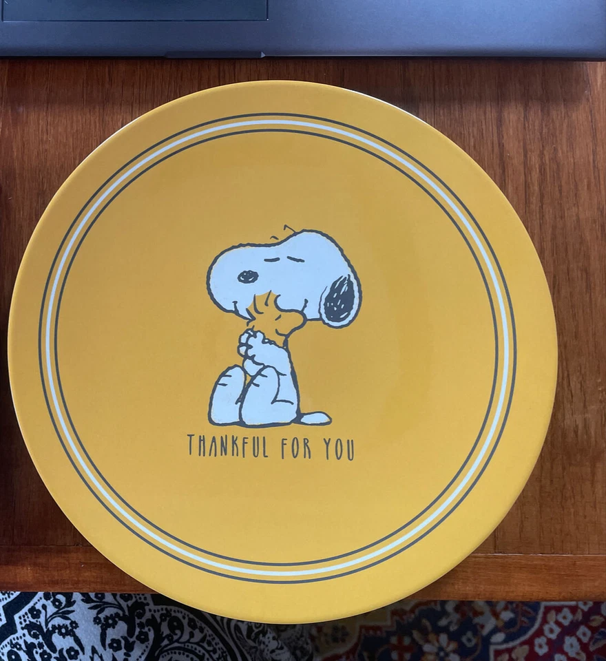 Pottery Barn Kid Disney Peanuts Snoopy Fiesta de Acción de Gracias 🎈JUEGO 8 niños, Foto 3 de 4