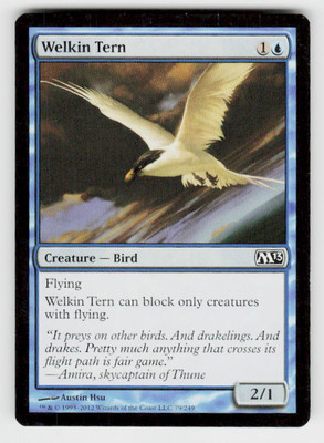 Magic 2013 (M13) #79 Welkin Tern