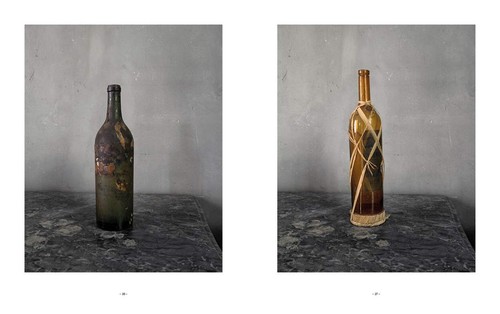 Joel Meyerowitz Cézannes Objects (Hardcover) - Picture 10 of 11