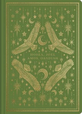 ESV Illuminated Scripture Journal (Taschenbuch)