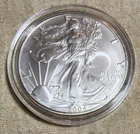 2004 DATED .999 FINE SILVER EAGLE WALKING LIBERTY DOLLAR BULLION ROUND COIN BU