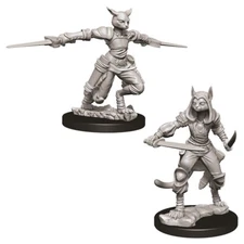 Dungeons & Dragon D&D Nolzur's Marvelous Miniatures Female Tabaxi Rogue WZK73708
