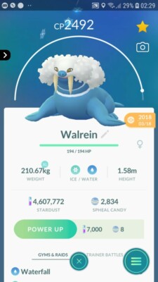 Walrein ( Spheal Evolution ) Pokemon Trade Go