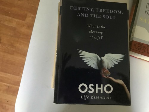 Osho Life Essentials Destiny Freedom And The Soul What Is The Meaning Life EBay