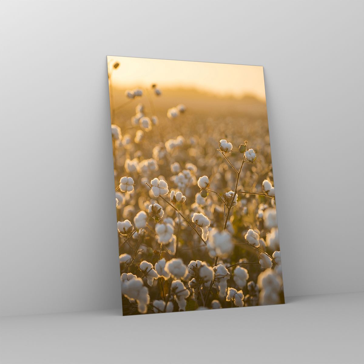 Impression sur Verre 100x70cm Tableaux Image Photo Voiture Vieux Champ