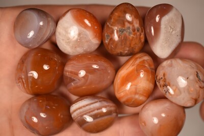 *BULK BUY* 150g RED AGATE Tumbled Stones 11pce Natural Stone Strength