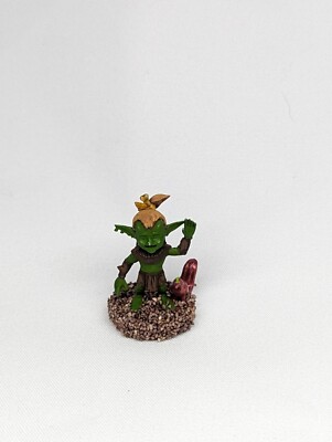 Female Goblin Druid With Animal Companion Custom Painted Miniature