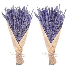 Dried Lavender Bundles, Uieke Natural Dried Lavender Flowers 280-300 Stems 16...