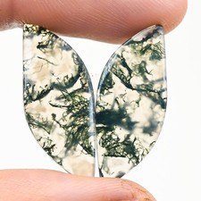 16.50Cts Natural Moss Agate Cabochon loose Gemstone Fancy Pair 11x26x3mm