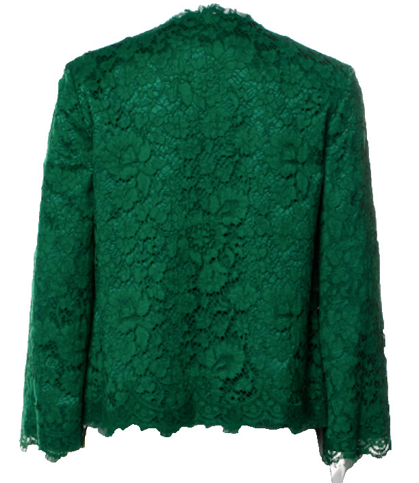 Dolce & Gabbana Green Lace Embellished Dragonfly Jacket SZ N/A (Fits S - M) NWOT image 2