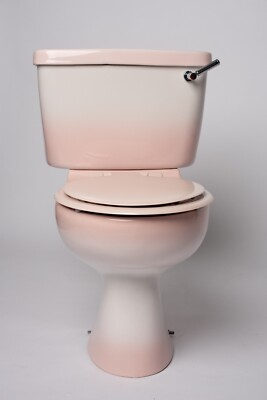 Armitage Shanks, Wentworth, eng gekoppeltes WC in Blushed Rosé