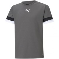 Koszulka Puma Teamrise Jersey Jr 704938 13 - 128 Puma