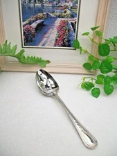Wallace Silver  CONTINENTAL BATEMAN  18/10 Stainless Steel Pierced Serving Spoon