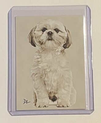Shih Tzu Limited Edition Artist Signed  Man s Best Friend  Trading Card 2/10