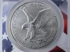 NobleSpirit 2021 S American Silver Eagle - Type 2 ANACS MS70 First Strike