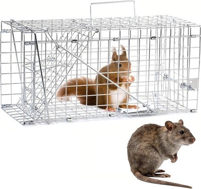 Trampa De Jaula Grandes Para Ardillas Gatos Ratones Ratas Ratoneras Reusable NEW