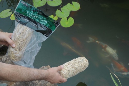 Summit Clear-Water Barley Straw Pond Treatment, 2-Pack, Treats upto 2000 Gallons - Picture 3 of 5