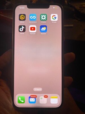 Apple iPhone 12 Pro Max - 256 GB - Gray (Unlocked TikTok downloaded already )