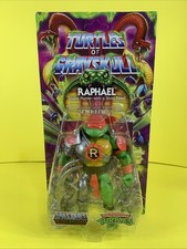 RAPHAEL Turtles of Grayskull Reptile Wars MOTU TMNT Masters Universe 2024