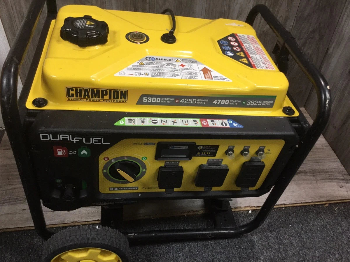 Champion Power Equipment Dual Fuel Power Generator Generators for