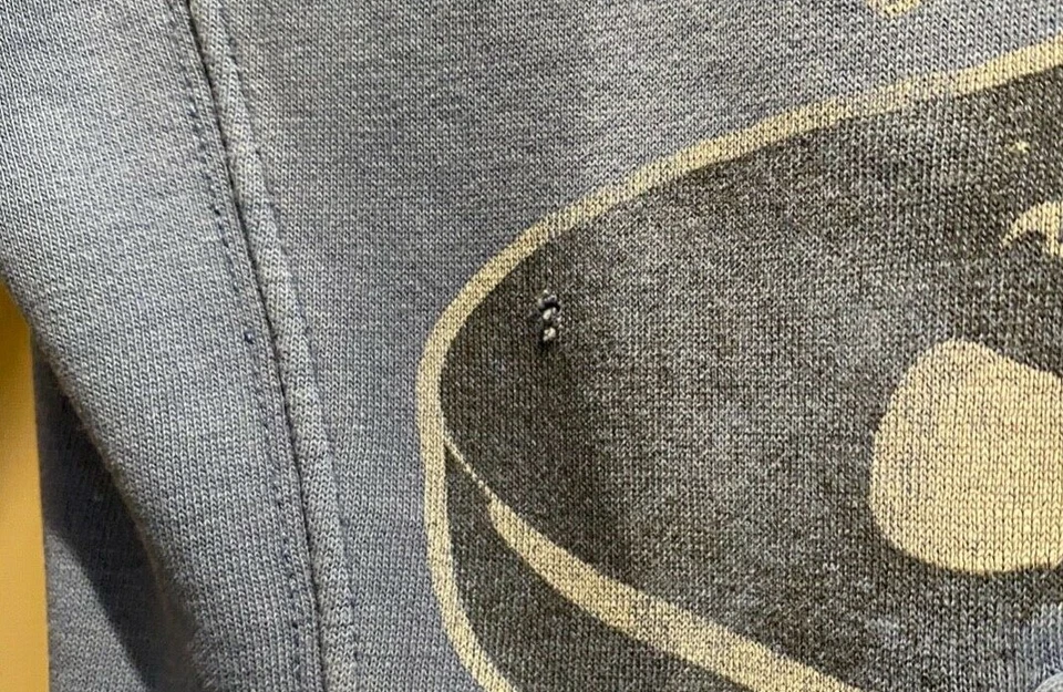 DE COLECCIÓN ROPA COMIDA CHATARRA LYNARD SKYNYRD DISTRESSED ROCK SUDADERA CON CAPUCHA Foto 3 de 4