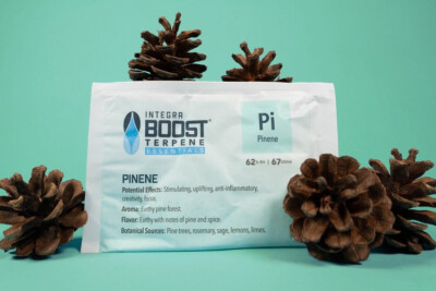 Integra Boost Terpene Pinene 67G 62% Feuchtigkeitsregler Terpenen Frische Klima