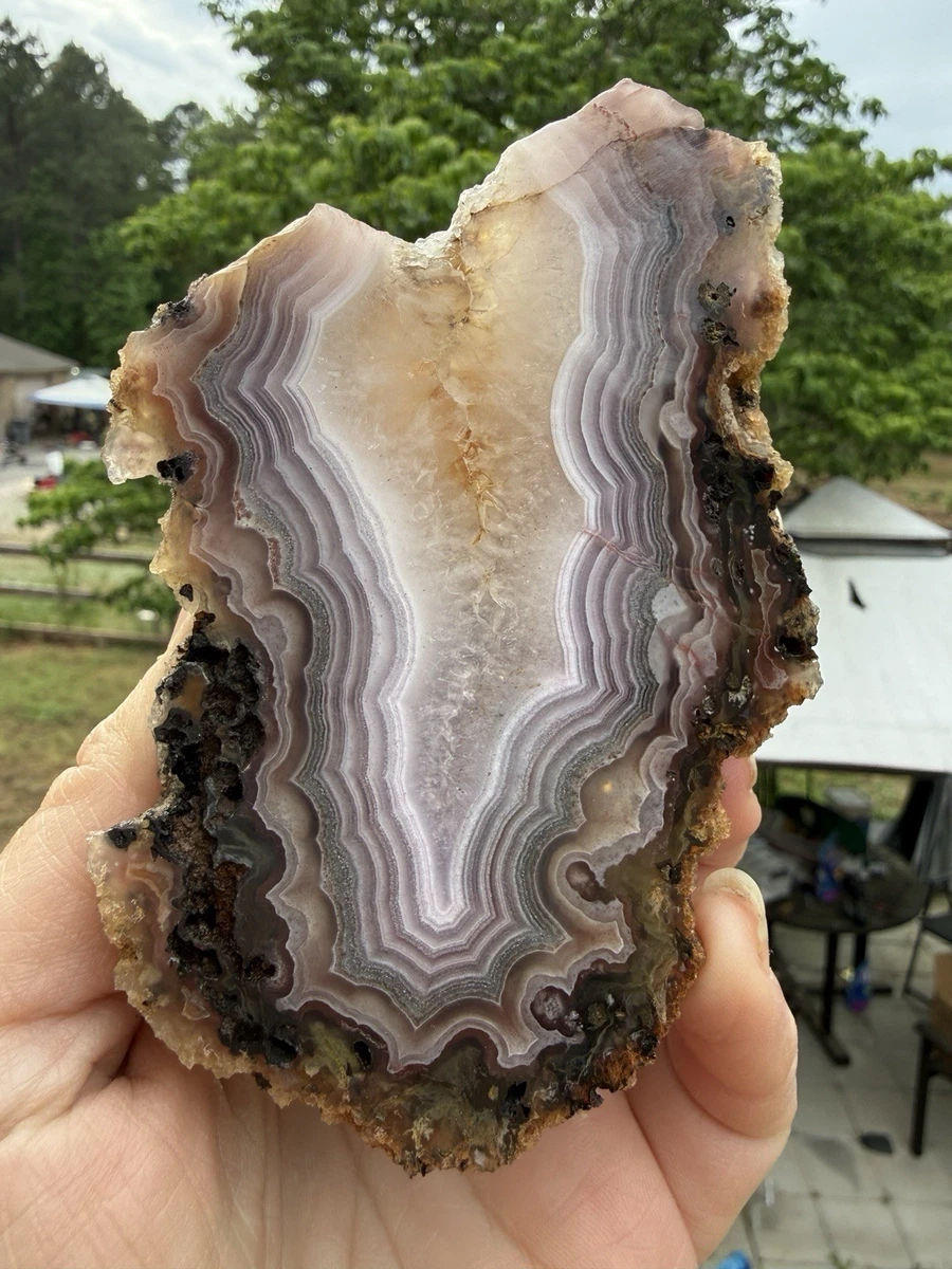 Laguna Agate for sale | eBay