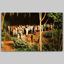 Postcard Fern Grotto Wailua River Kauai Hawaii 1972