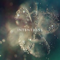 Anna - Intentions - Vinyl Record - F99Z