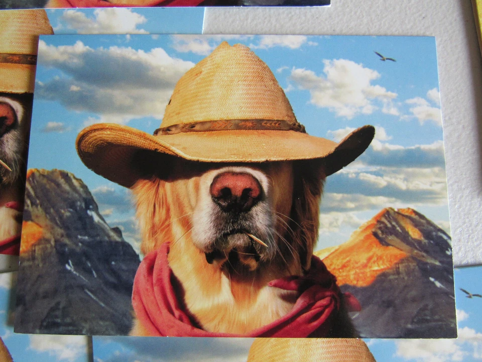 Lot of 10 Dogs Peeing + Hero Hat Dad Father's Day Card Greeting Avanti Press USA - Image 2 of 4