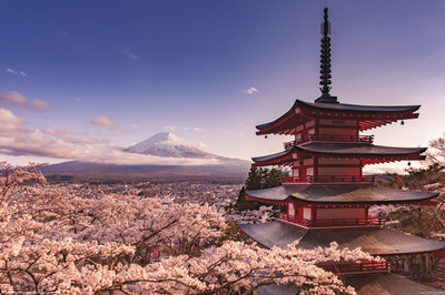 MOUNT FUJI BLOSSOM 24x36 POSTER NEW WALL DECOR JAPAN MOUNTAIN FLOWERS INTERIOR!!