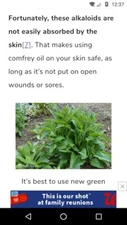 organic comfrey healing salve guaranteed
