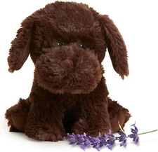 Warmies  Microwavable & Weighted Stuffed Animals, Chocolate Lab Plush  13"