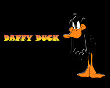 Daffy Duck Looney Tunes Crazy Character MAGNET