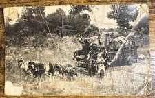 Gypsy Family on Goat Drawn Wagon Picture Postcard~1910-1920s~Gardendale Alabama