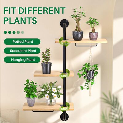 Window Plant Shelves Rotating Plant Shelf for Window Wall Mounted Indoor  Hang... | eBay