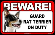 Beware Guard Dog On Duty Sign - Rat Terrier 8  X 5  