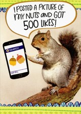 I Posted A Picture Squirrel Funny / Humorous Risque Birthday Card