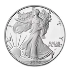 1 OZ American Silver Eagle Commemorative Medal – Statue of Liberty Coin 2025