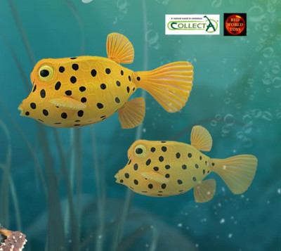 Boxfish Box Fish Sealife Fleckfisch Spielzeug Modell Figur von CollectA 88788 Neu