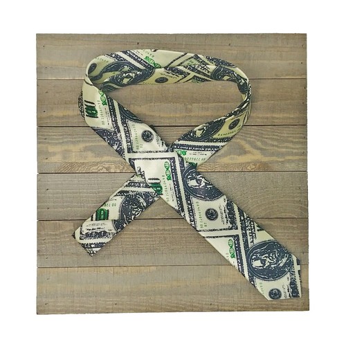 SLIM NECKTIE Selections Unisex Checkered Solid Money Gay Pride Stripe USA Seller - Picture 22 of 40