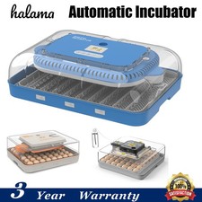 48/56/70 Eggs Automatic Egg Turnning Incubato...