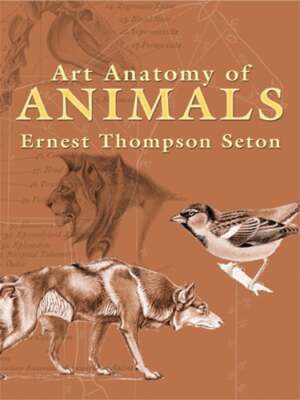 Art Anatomy of Animals by Ernest Thompson Seton: Used